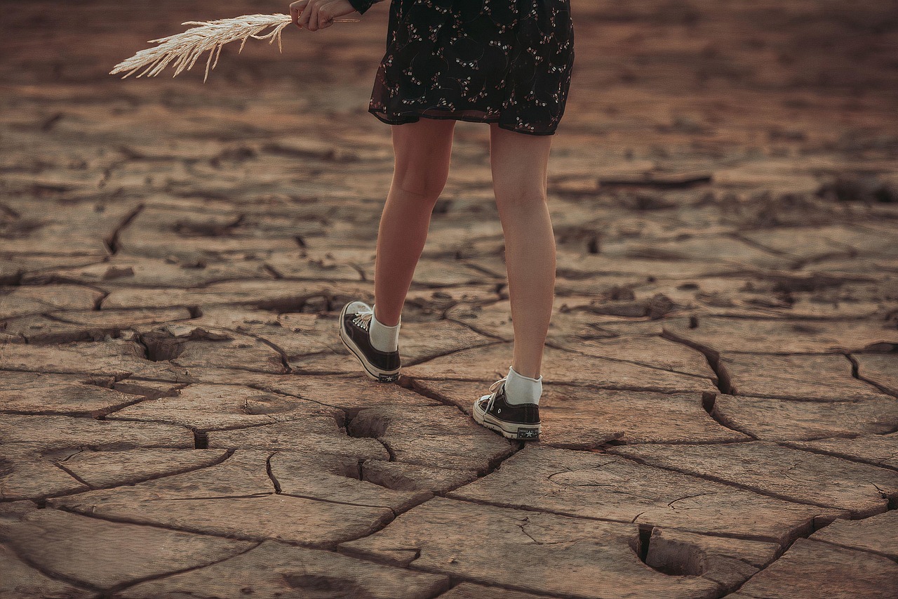 Drought Novels: Fiction for the Long, Dry Season