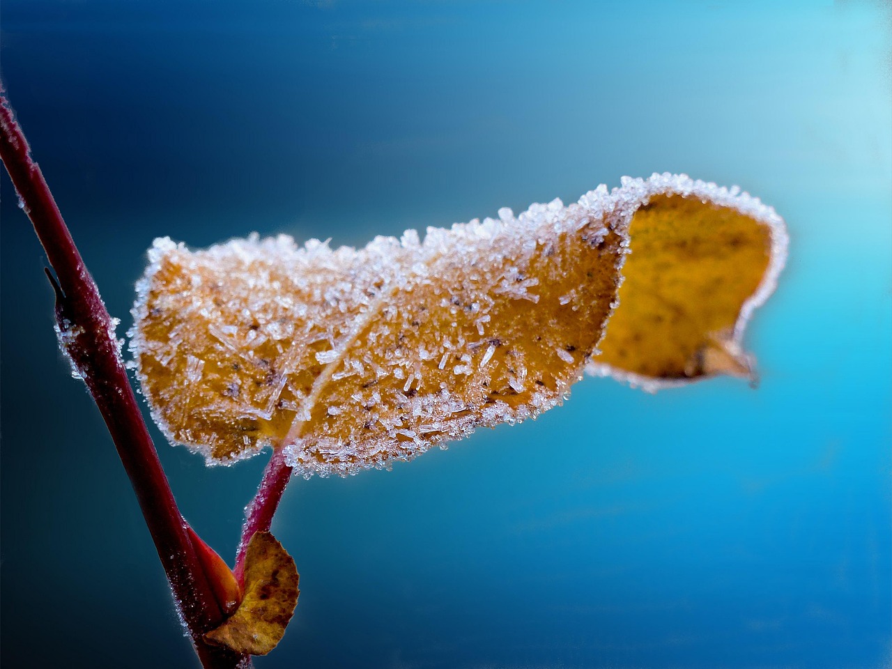 First Frost Reads: Books for the Turn of the Season