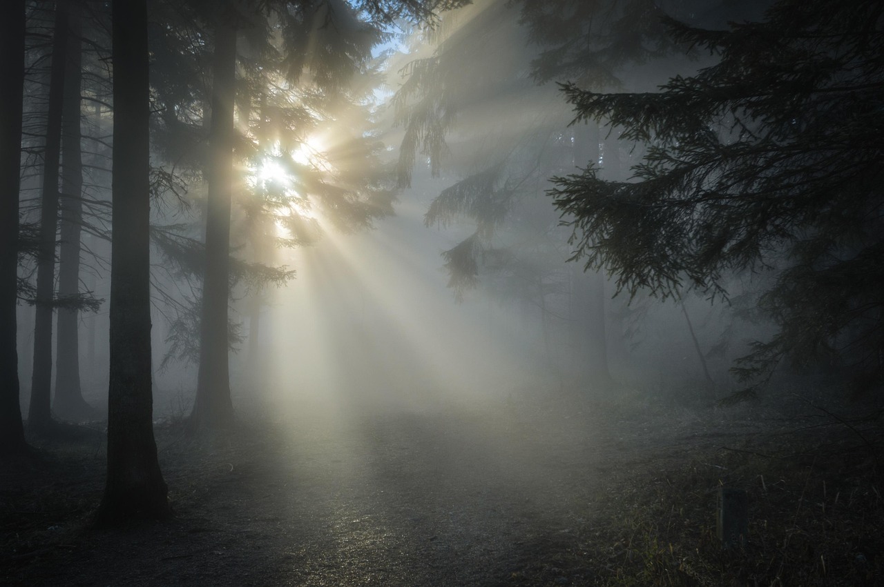 Fog, Mist, and Mystery: Reading for the Grey Months