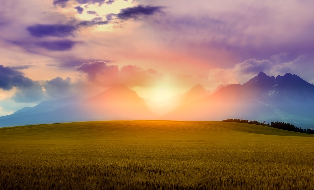 Heat Wave Fiction: Novels That Capture the Weight of Summer