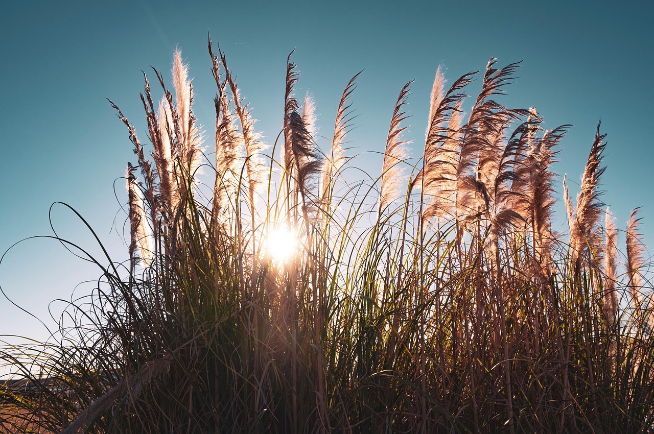 The Windiest Chapters in Literature: Books Where Weather Turns the Plot